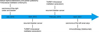 Isolated Renal Calyceal Urothelial Carcinoma Effectively Treated With PD-1 Inhibitor Alone: A Case Report And Literature Review